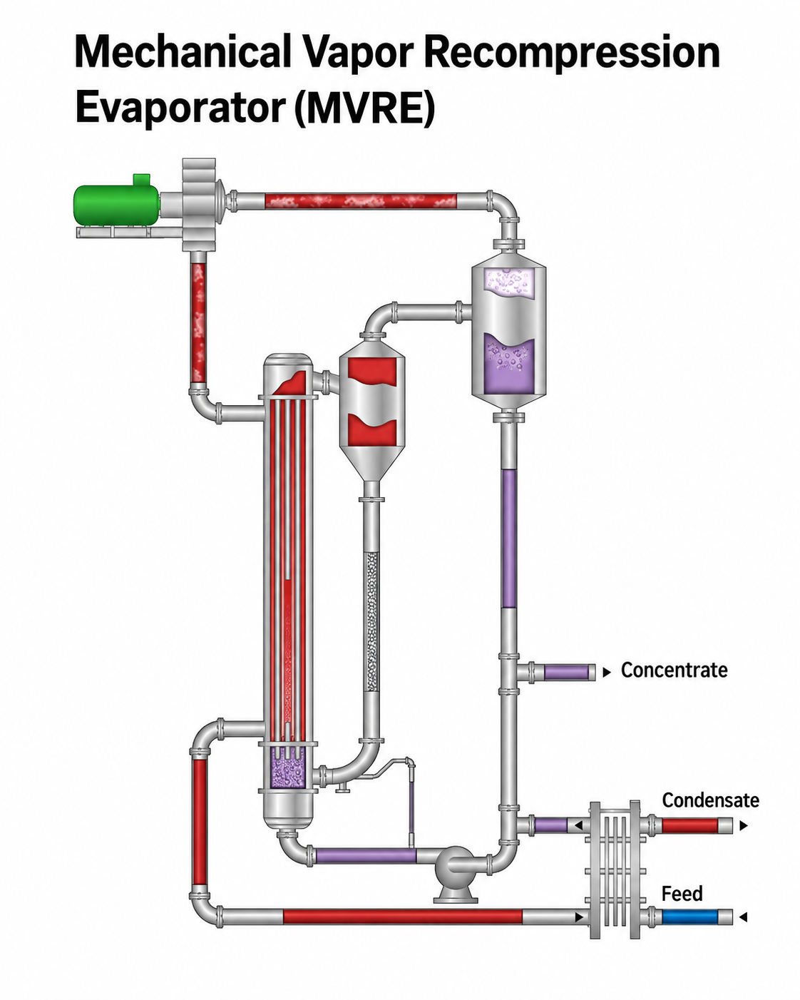 Mestwater_1